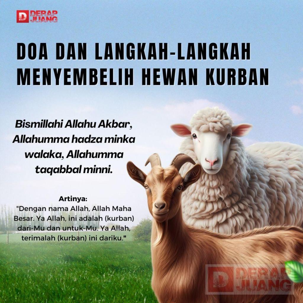 Doa dan Langkah-langkah Menyembelih Hewan Kurban