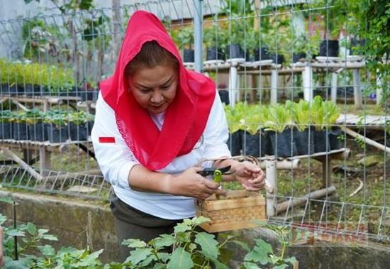 Sukseskan Urban Farming, Mbak Ita Dorong Pemanfaatan Lahan Tidur